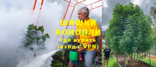ПСИЛОЦИБИНОВЫЕ ГРИБЫ Армянск